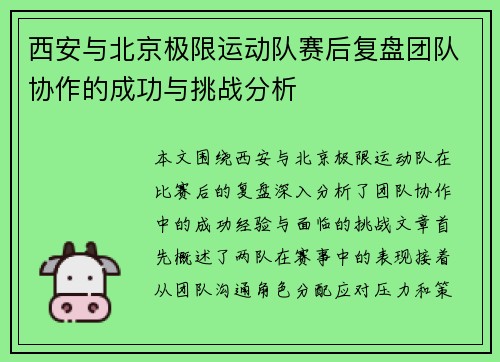 西安与北京极限运动队赛后复盘团队协作的成功与挑战分析